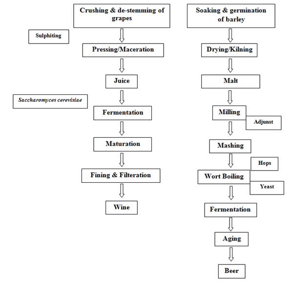 fig-24-1-manufacture-technology-for-beer-and-wine